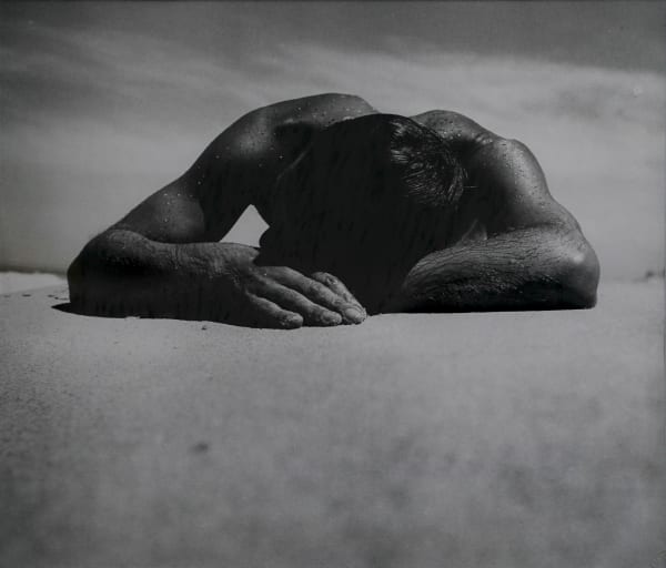 The Ilsley Collection