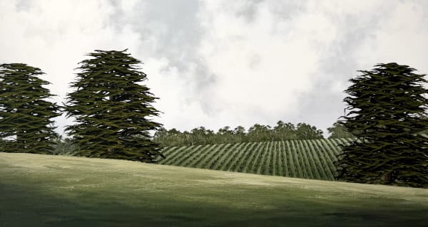 Debbie Mackenzie Revelations in Solitude