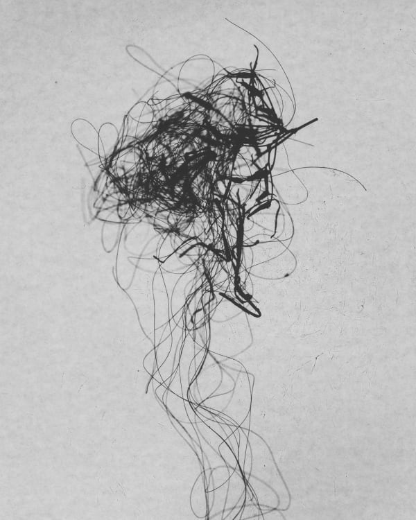 Lowe H Seger, Infinitae Regress, 2024
