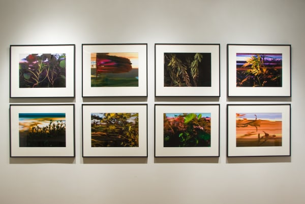 Checefsky Dec08 0110