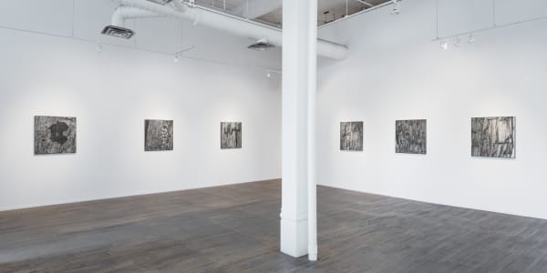 Shaheen Klausmosettig 01 Version02