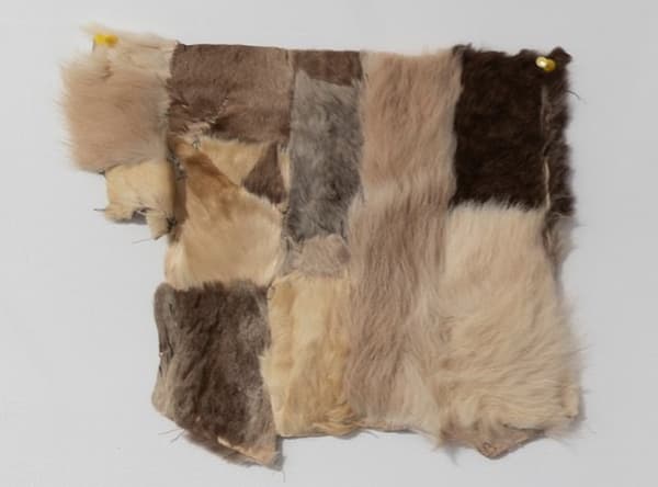 Rat Fur Blanket, From Ziggy kills, 2023
