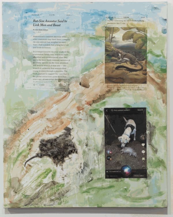 Do We Come From Rats? Ask the Dog (Ziggy), 2024 24x30 inches