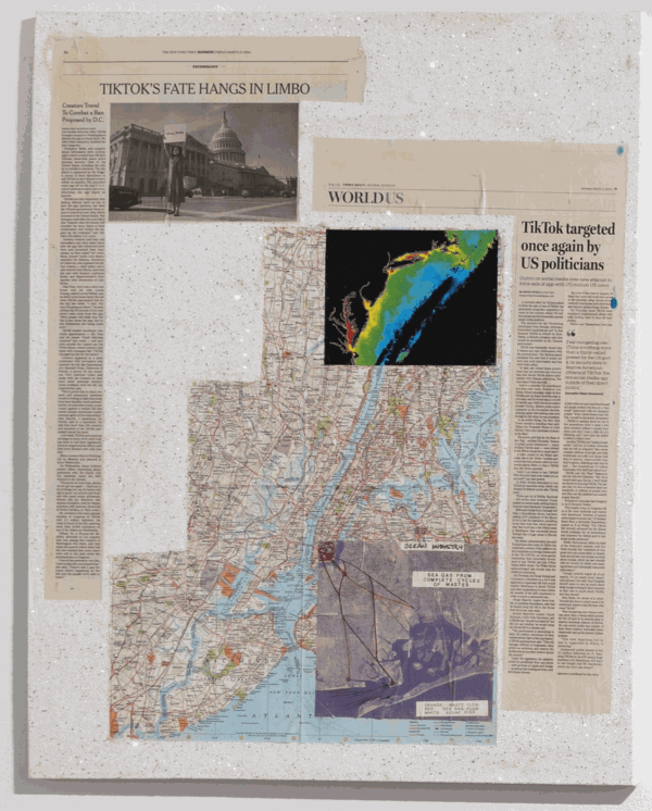 How To Surveillance New York, 2024 24x30 inches