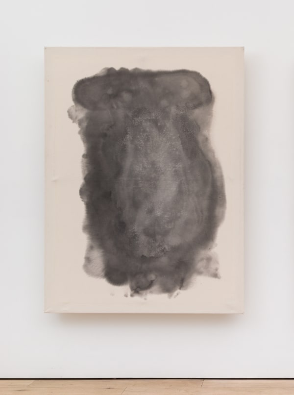 Ren Light Pan double sleep - 02. 14. 22 (positive), 2022 Water, body heat, ink, and transgirl on canvas; syringes, photoluminscent pigment 78 3/4 x 59 1/8 x 4 1/2 in 200 x 150 x 11.4 cm