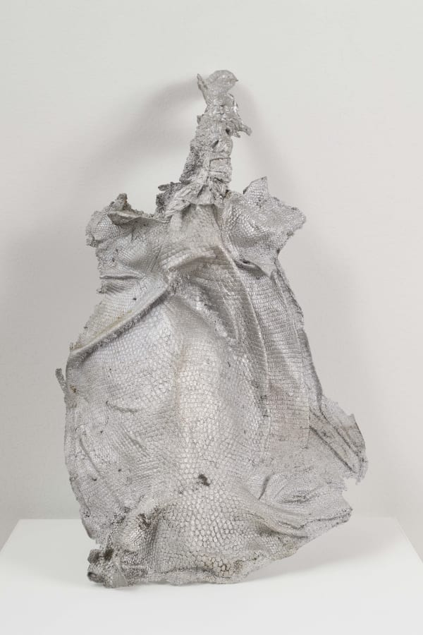 ARMADILLO, 2021 Cast aluminum 18 1/2 x 9 in 47 x 22.9 cm