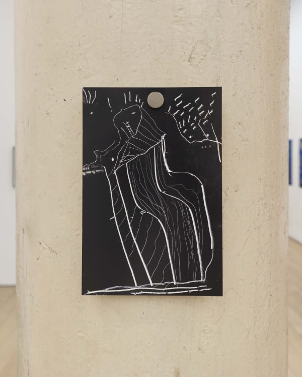 PARASITE, 2015 Unique C-Print with scraping drawing 6 x 4 in 15.2 x 10.2 cm