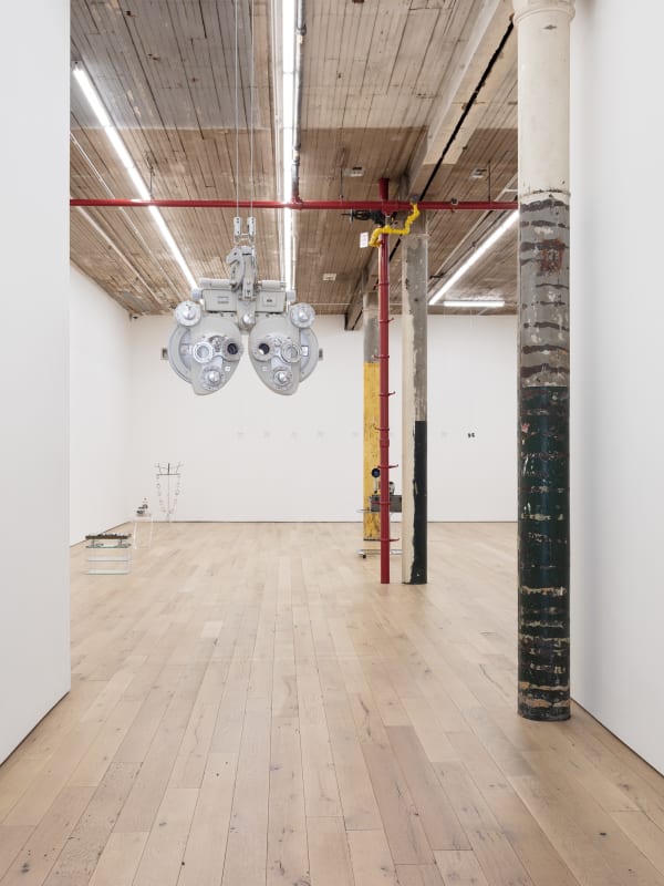 The Aviator, Gallery Installation, 2020