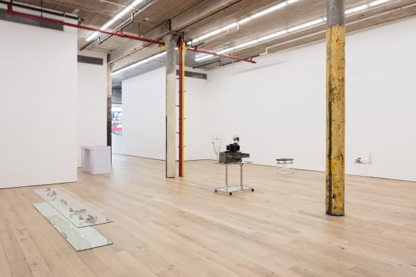 The Aviator, Gallery Installation, 2020