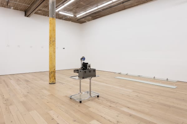 The Aviator, Gallery Installation, 2020