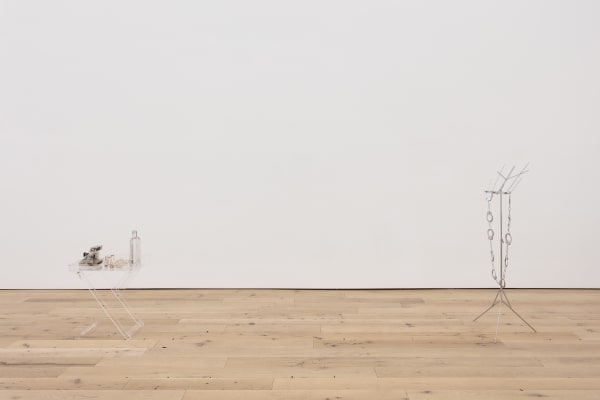 The Aviator, Gallery Installation, 2020