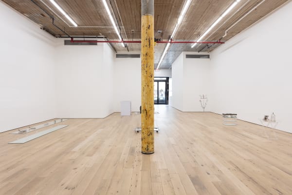 The Aviator, Gallery Installation, 2020