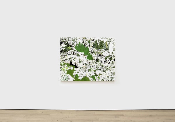 Christopher Astley: Terrain, Installation View, 2024