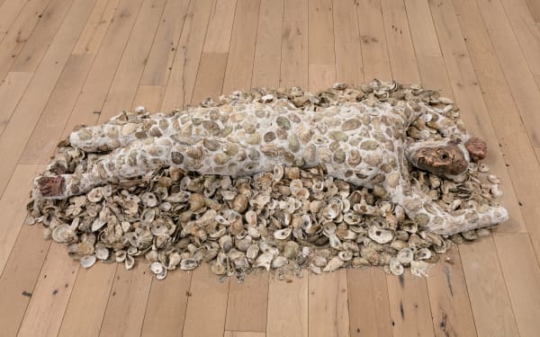 Jory Rabinovitz Death of Abel, 2018 tabby, melted pennies and oyster shells Dimensions variable