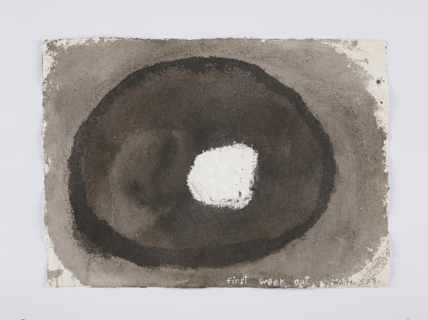 Kathleen White A Year of Firsts, 2001 40 works on paper each: 12 x 16 1/2 in (30.5 x 41.9 cm) each: 16 1/2 x 12 in (41.9 x 30.5 cm)