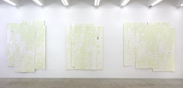 Winter, summer together, Gallery Installation, 2016