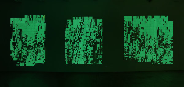 Winter, summer together, Gallery Installation (dark), 2016