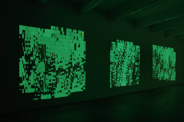 Winter, summer together, Gallery Installation (dark), 2016