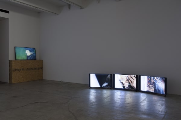 Everybody Knows (Or Should), Gallery Installation, 2015