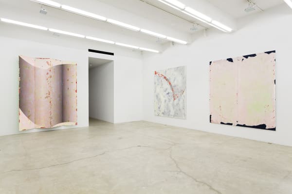 Thick Pink, Stuffed Light, Installation View, 2014