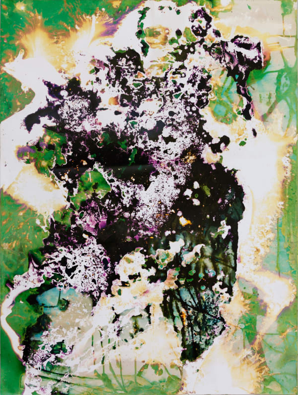 Ryan Foerster After the garden is done/sky is falling, 2013 unique C-print 40 x 30 inches