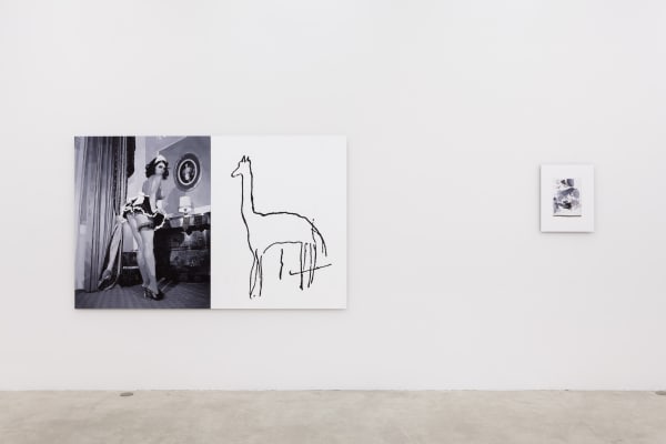 I Know It When I See It, Installation View, 2013