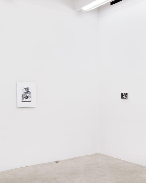 I Know It When I See It, Installation View, 2013