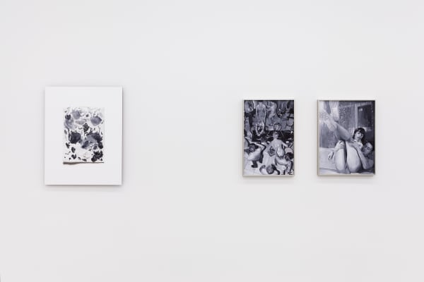 I Know It When I See It, Installation View, 2013
