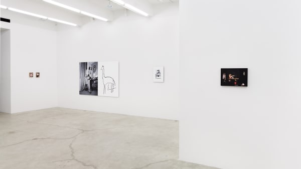 I Know It When I See It, Installation View, 2013