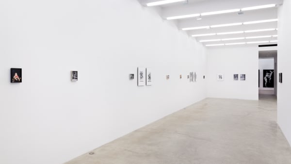 I Know It When I See It, Installation View, 2013