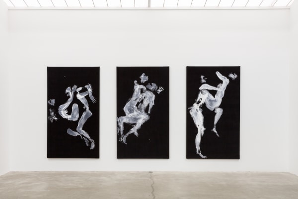 I Know It When I See It, Installation View, 2013