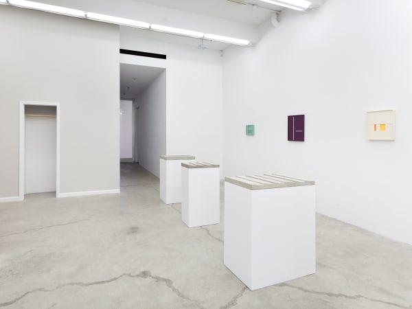 Aaron Aujla - Charles Harlan - John Pittman, Installation View, 2013
