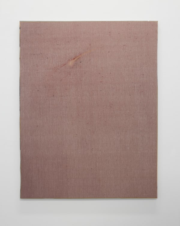 Aleksander Hardashnakov Comet, 2012 oil, fabric dye, bleach on linen with artist's frame 62 x 48 inches