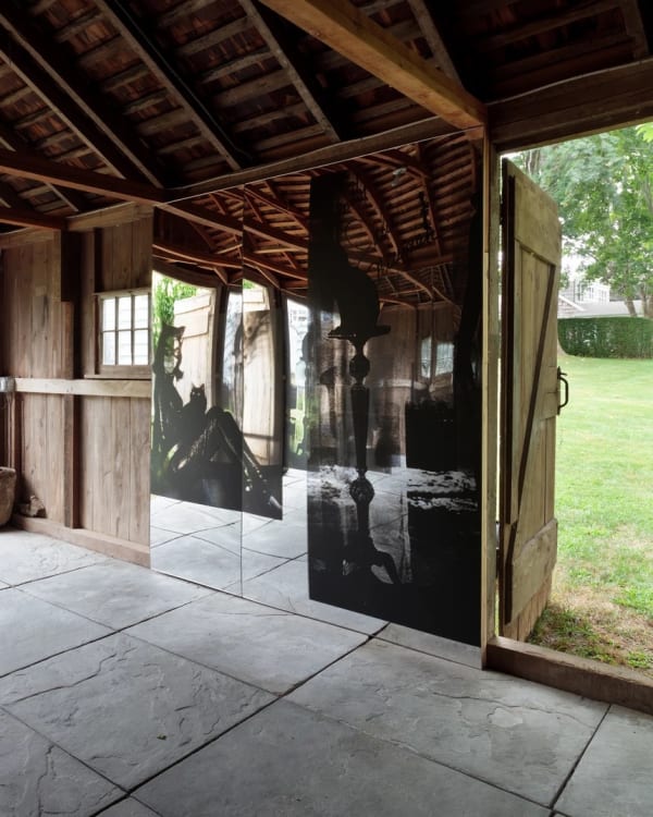 Creature From the Blue Lagoon, Installation View, 2012