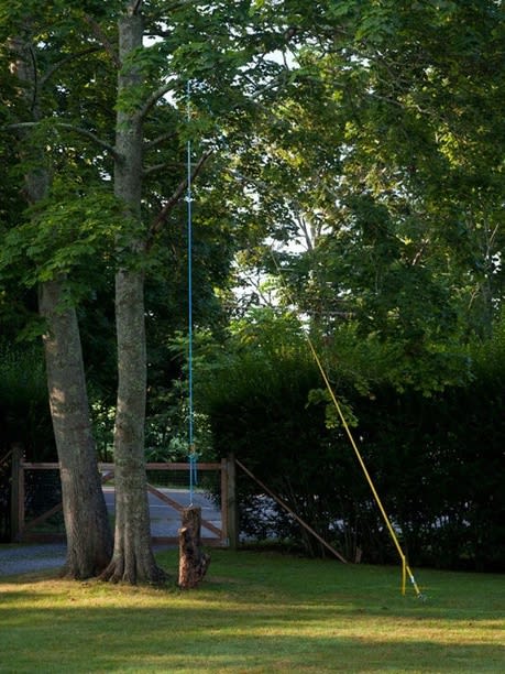 Creature From the Blue Lagoon, Installation View, 2012