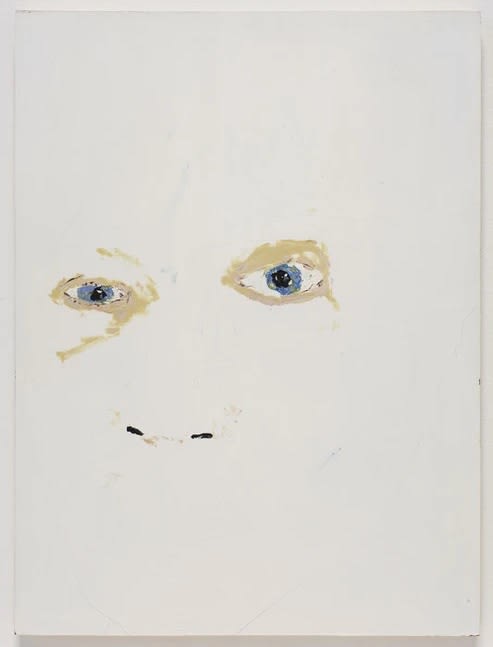 Richard AldrichShadows, 2007 - 2008 oil, wax and pencil on paper 20.75 x 15.5 in