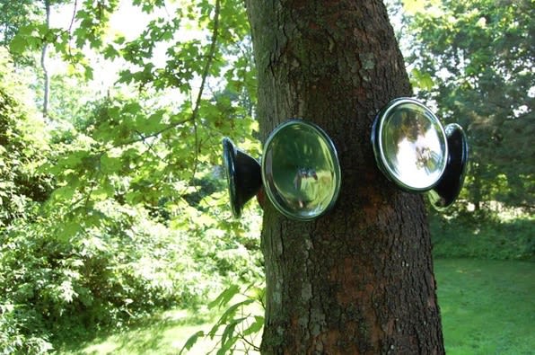 Graham Caldwell Untitled, 2011 glass dimensions variable