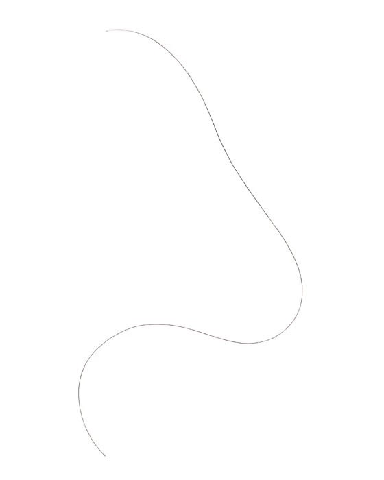 Alex Heim Untitled, 2011 C-print 50 x 39.75 in