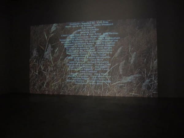 Jules Marquis and P Smith Untitled Italic, 2010 digital video 2:10 min