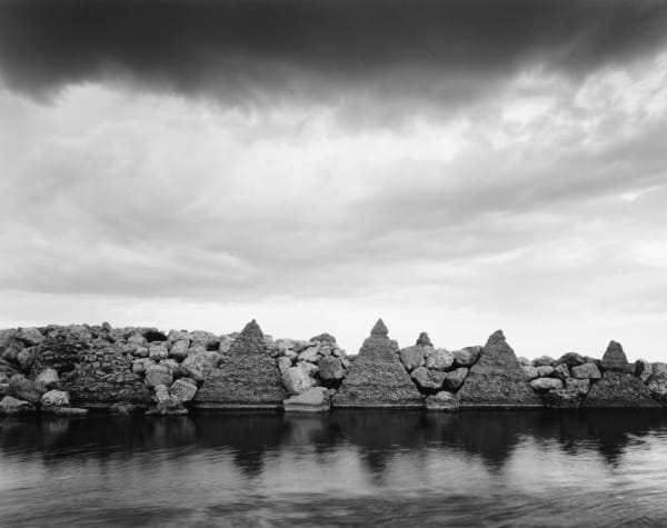 L'Albufera de València, 2004