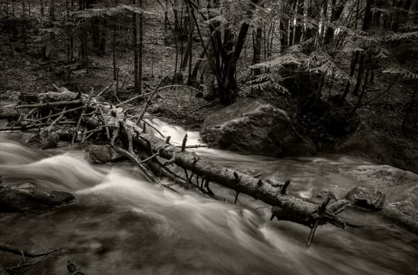 A Glimpse to Wabi-Sabi 