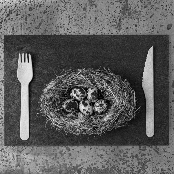 Pili Concellón, NEST, 2022