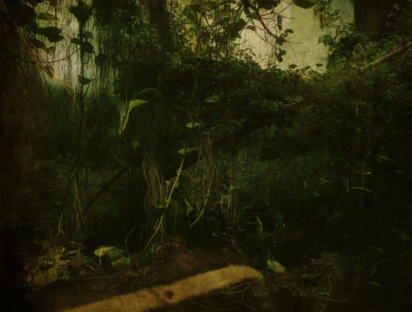 El Bosque Oxidado