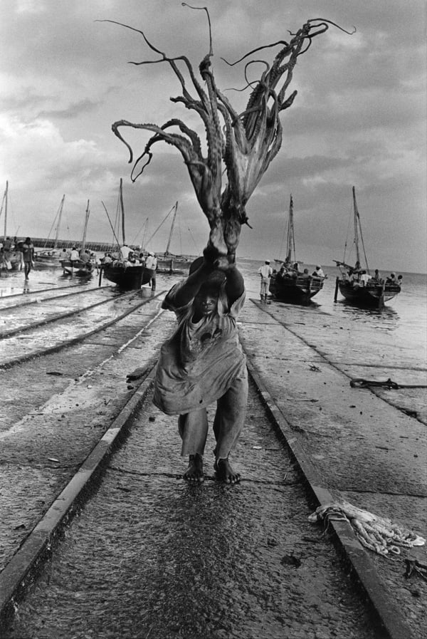 Child Labour Exploitation