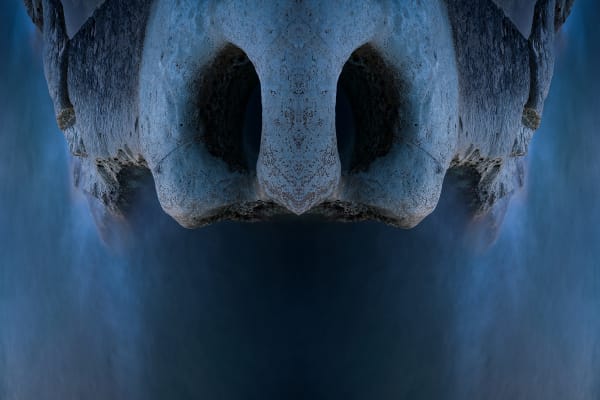 Other Dreams