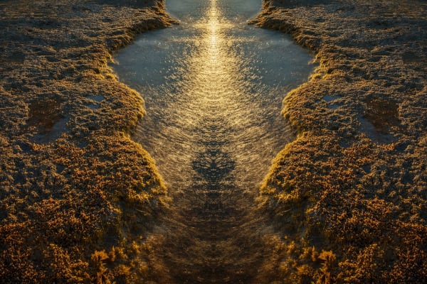 Aurum