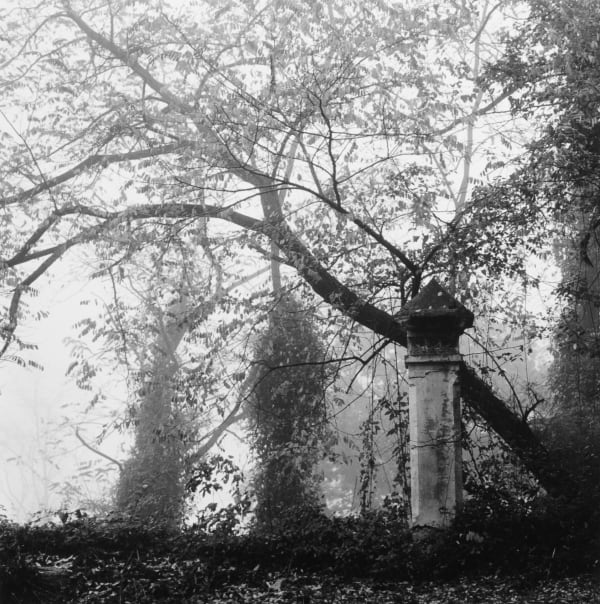 Collserola, 2002