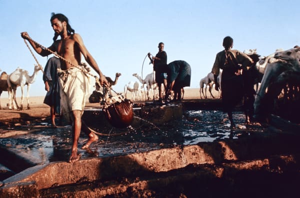 Steve Ewert, Well in Niger, 1971