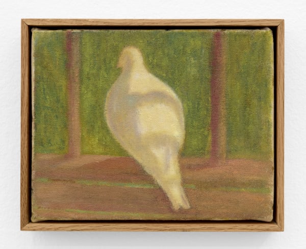 Jackson Joyce Dove of My Fire Escape; Some Mornings, 2024 oil on canvas canvas: 7 1/4 x 9 1/4 in. (18.4 x 23.5 cm.) framed: 8 x 10 in. (20.3 x 25.4 cm.)