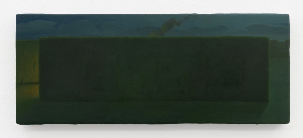 Sarah Schlesinger Garden Campfire, 2025 oil on panel 8 x 20 in. 20.3 x 50.8 cm.